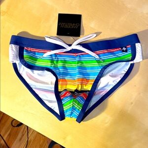 Andrew Christian Men's Multicolor Striped Swim Trunks